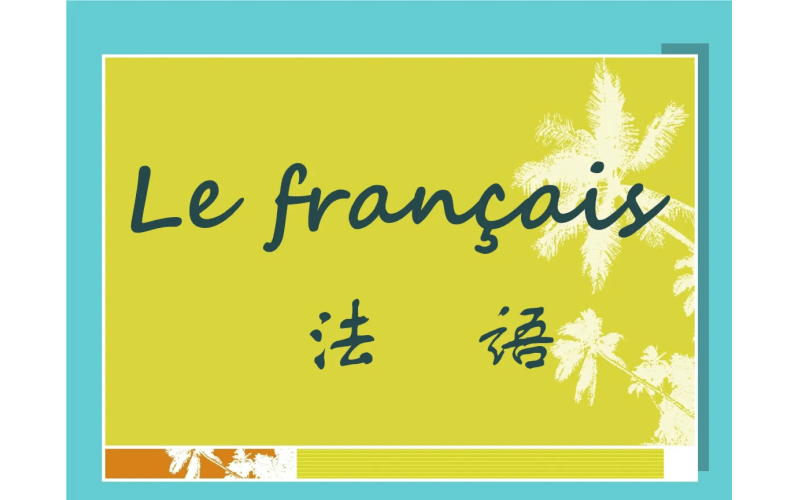 不同类型的翻译